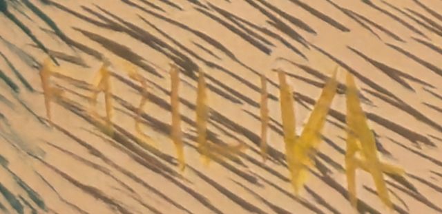 绘制签名的局部: «FDZILVA»